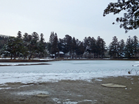 Medium_庭園 (2)
